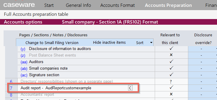 How to add a Custom Audit Report into the Financial Statements?
