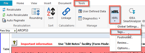 iXBRL Tagging a Custom Audit Report