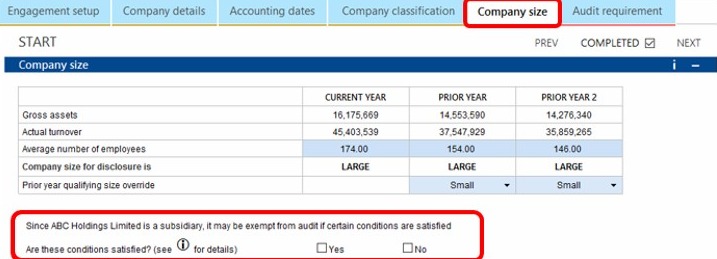 How do I apply audit exemption for a subsidiary?