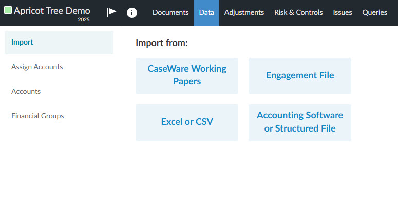 Importing a Trial Balance into Audit Singapore