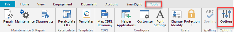How to Display or Hide Zero Balances within Trial Balance Leadsheets ...