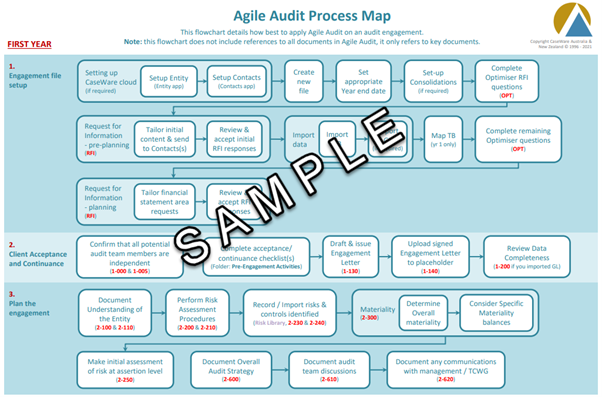 Cloud Audit Process Map